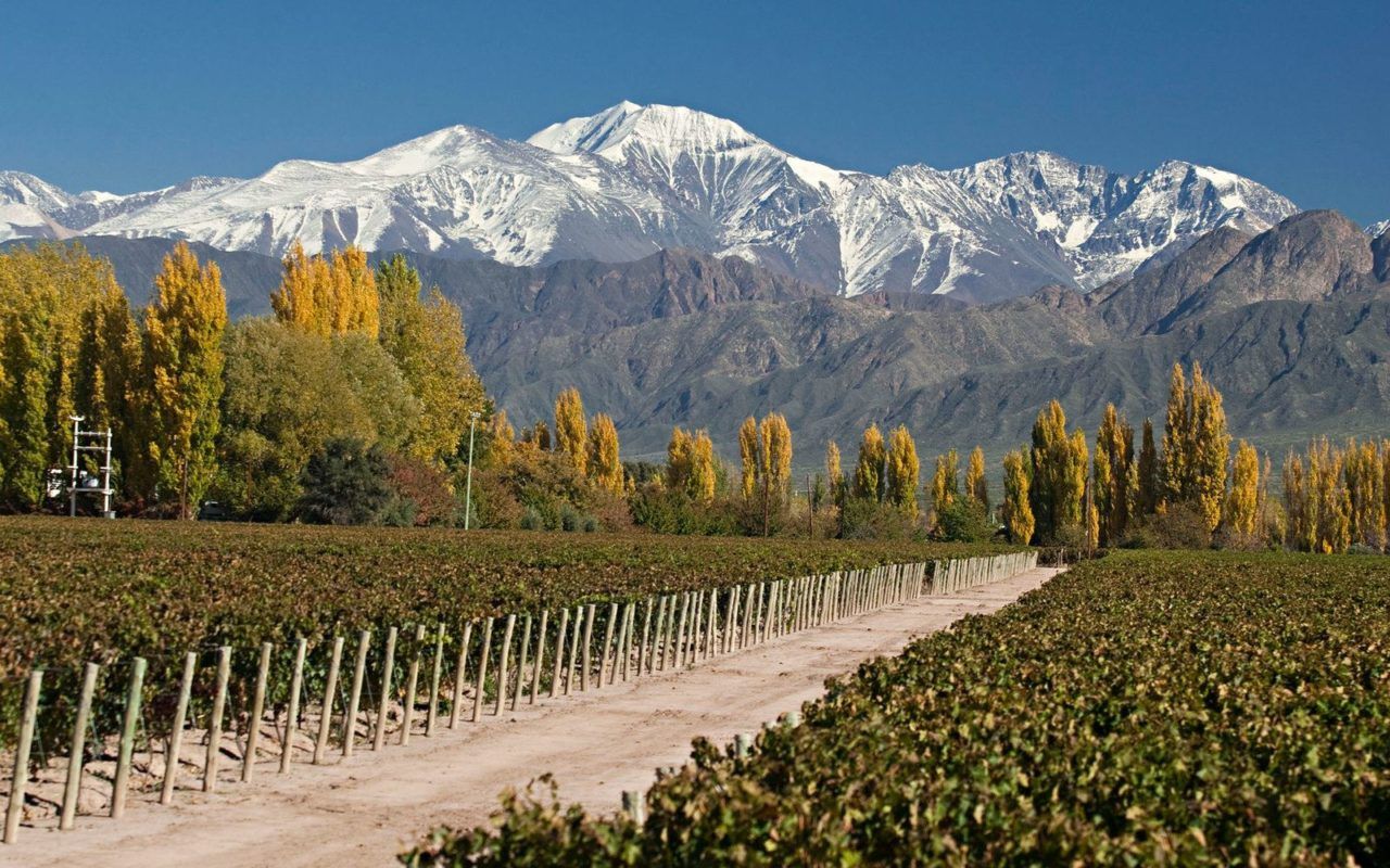 Mendoza wine tours