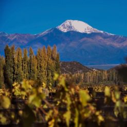 Argentina país del vino