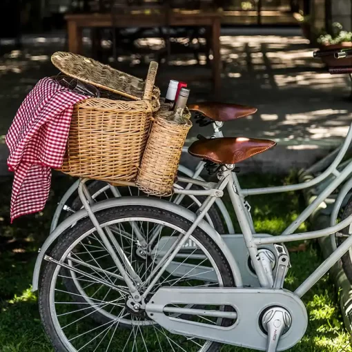 Tour de bodegas en bicicleta en Chacras de Coria con degustación estándar