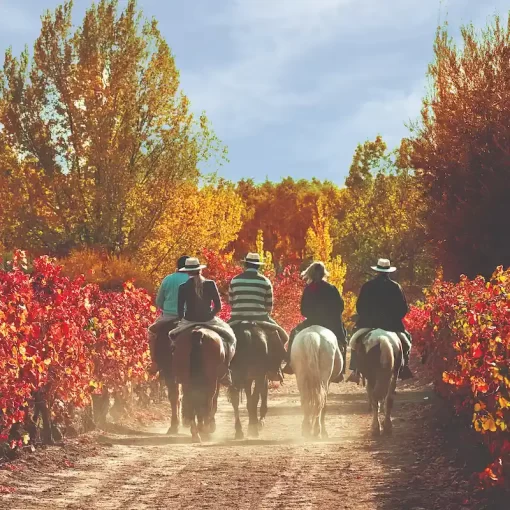 Creole Horseback Riding: day of Argentinean Tradition