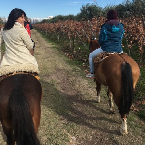 horseback riding argentina