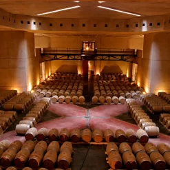 Private tour in 2 wineries in Valle de Uco Sur