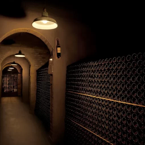 Wine Cellar in Mendoza