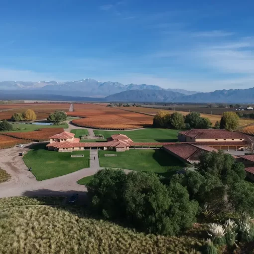 Private tour in 2 wineries in Luján de Cuyo or Maipú