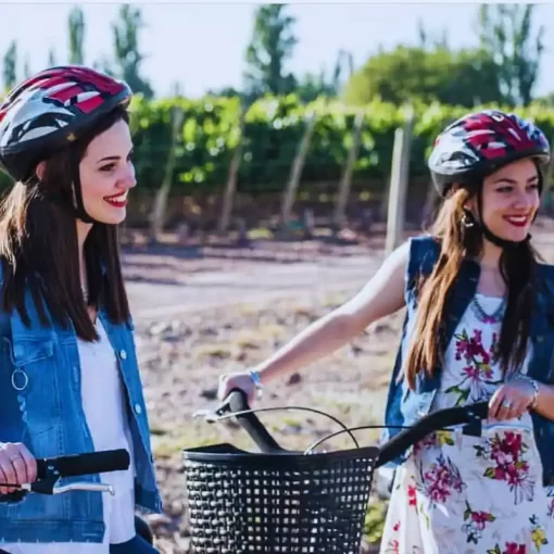 Wineries biking tour in Chacras de Coria with lunch and premium tasting - 3 wineries