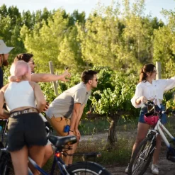 Wineries biking tour in Chacras de Coria with lunch and premium+ tasting - 3 wineries