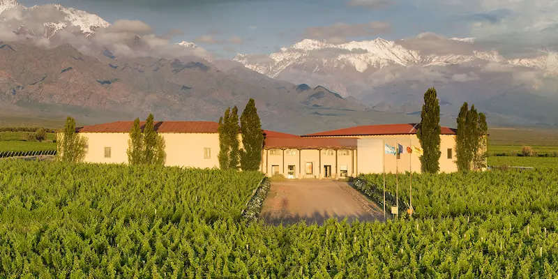 Bodega Cuvelier de los Andes - mendoza wine tours